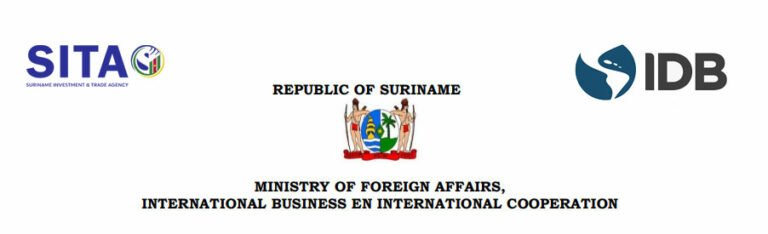 CALL FOR CONSULTANTS MID-TERM EVALUATION CONSULTANT